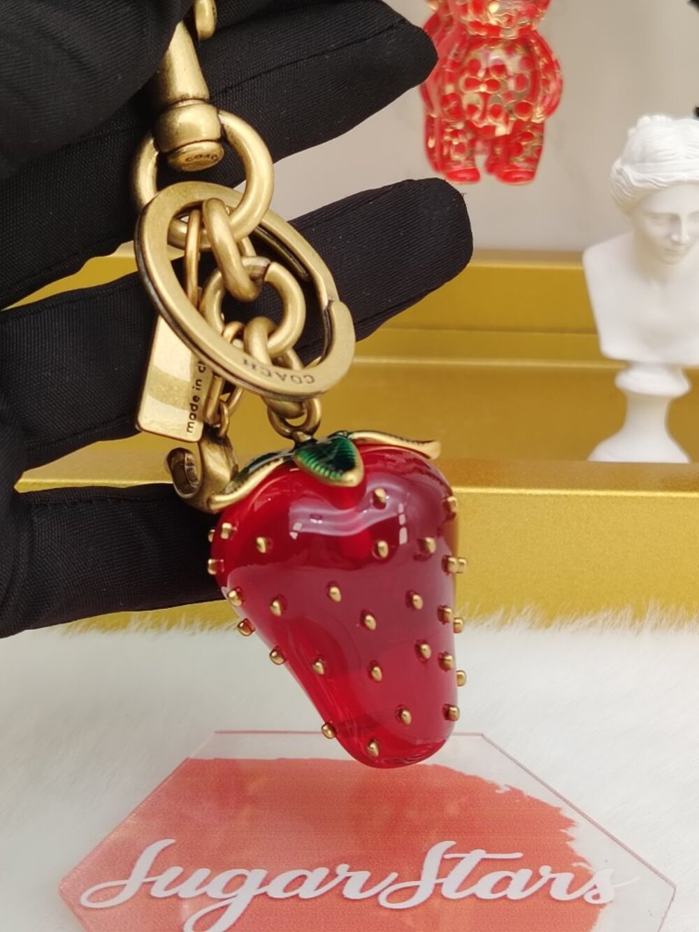 Coach Strawberry Bag Charm Coach Bag Accessories keychain